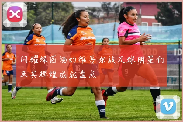 闪耀绿茵场的维吾尔族足球明星们及其辉煌成就盘点
